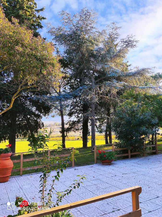 몬티아노 Agriturismo Pian Dell'Osa 빌라 외부 사진