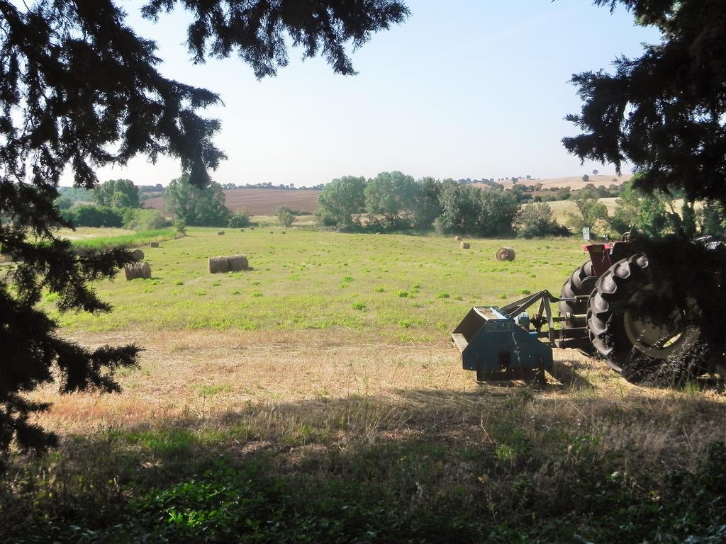 몬티아노 Agriturismo Pian Dell'Osa 빌라 외부 사진